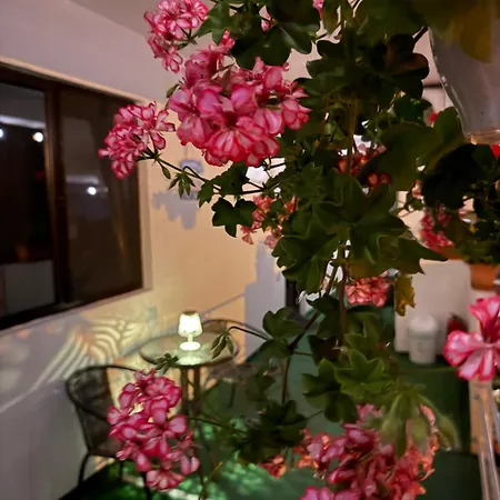 Axelandraboutique Eforie Nord