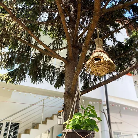 Axelandraboutique 3* Eforie Nord