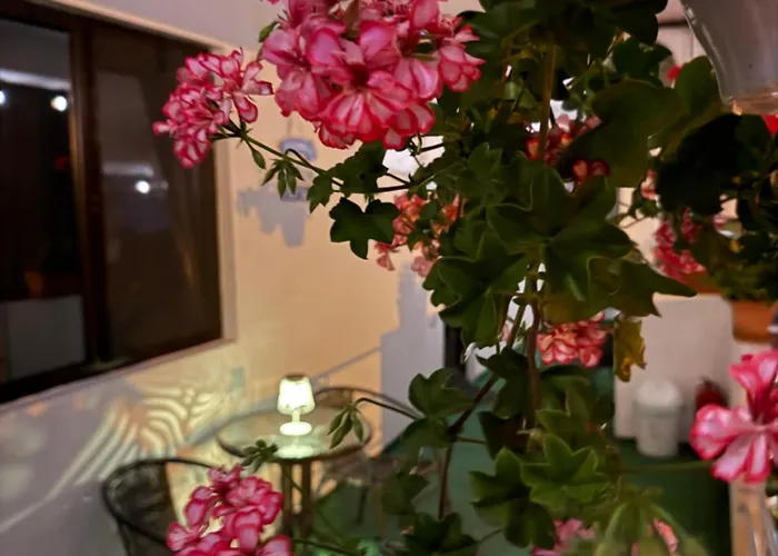 Axelandraboutique Eforie Nord