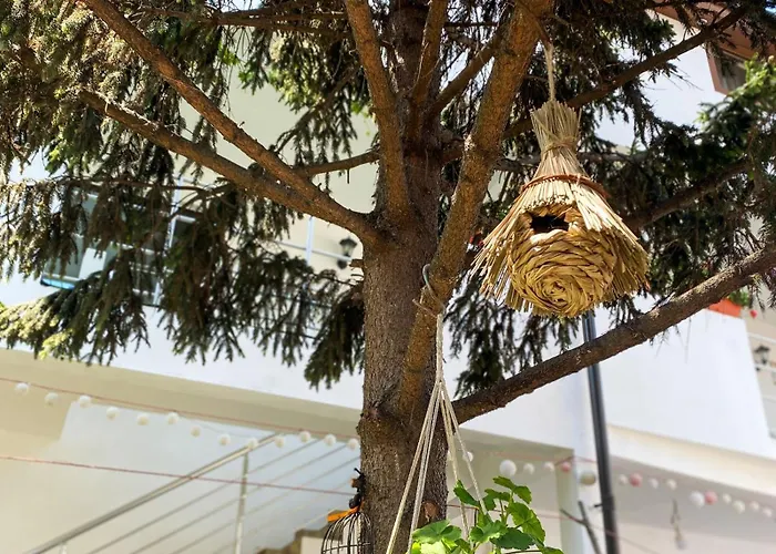 Axelandraboutique 3* Eforie Nord