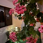 Axelandraboutique Eforie Nord
